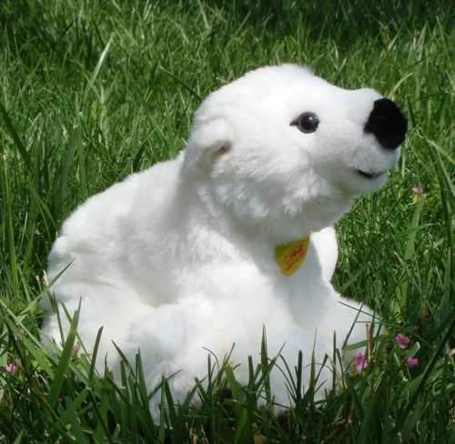 Steiff Knut polar bear - white