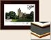 University of Illinois at Urbana-Champaign Collegiate Lithograph Plaque