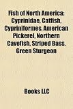 Fish of North America: Cyprinidae, Catfish, Cypriniformes, American Pickerel, Northern Cavefish, Striped Bass, Green Sturgeon