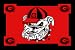 Georgia Bulldogs 3' x 5' Small Top View Area Rug
