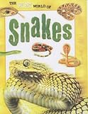 The secret world of snakes
