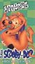 Scooby-Doo - Which Witch is Which? [VHS]