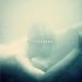 Hundreds [Vinyl LP]
