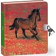 Wild Horse Lock & Key Diary
