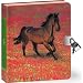 Wild Horse Lock & Key Diary