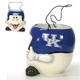 Kentucky Wildcats NCAA Halloween Ghost Candy Bucket (6.5)