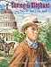 Books : Seeing the Elephant: A Story of the Civil War