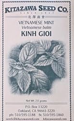 Vietnamese Mint Kinh Gioi Seeds