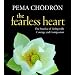 The Fearless Heart: The Practice of Living with Courage and Compassion