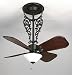 Fanimation Americana Long Ceiling Fan Model FP420BL-220 in BLACK