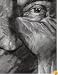 Jim Shaw: Distorted Faces and Portraits, 1978-2007