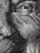 Books : Jim Shaw: Distorted Faces and Portraits, 1978-2007