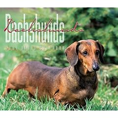 Dachshunds 2001 Calendar