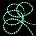 ABC Products - 9-Foot ~ Rope Lights LED Green Lights (Indoor & Outdoor use)