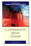 Llenyddiaeth mewn theori
