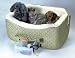 Pet Supplies : Replacement Cover ONLY for SNOOZER My Buddy Lookout (Drawer)