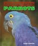 Parrots (Endangered!)