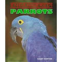 Parrots (Endangered)
