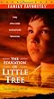 Education of Little Tree, the