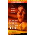 The Education of Little Tree