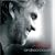 Andrea Bocelli - Amore