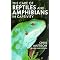 Chris Mattison is a herpetocultural wonder.