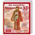 Der menschliche K�rper in 3D