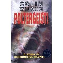 Poltergeist!: A Study in Destructive Haunting