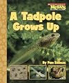 A Tadpole Grows Up (Scholastic News Nonfiction Readers)