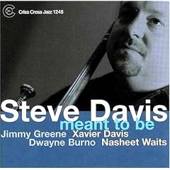 Meant to Be by Steve Davis (Audio CD - 2004)
