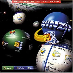 WINZIP WinZip 8.1 (Windows)