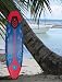 New 6' Foamie Board Surfboard Surfing Surf Board Perfect for beginners