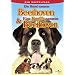 DVD hunde und menschen
