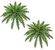 TWO 26" Boston Fern Artificial Hanging Greenery Bushes