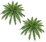 TWO 26" Boston Fern Artificial Hanging Greenery Bushes