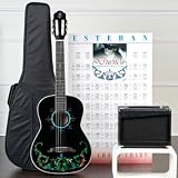 Esteban Duende Acoustic Electric Classical Guitar Package w/ Amp, 5 DVDs and Accessories - Blem