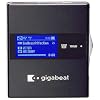TOSHIBA  HDDプレーヤー gigabeat G10 コスモブラック [MEG101(K)] MEG101 K