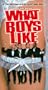 What Boys Like [VHS]