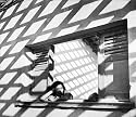 Original Sources: Art and Archives at the Center for Creative Photography