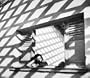 Original Sources: Art And Archives At The Center For Creative Photography