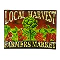 Farmers Market Glass Serving Platter - 16x12"