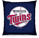 Biederlack Minnesota Twins Floor Pillow