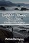 Death Comes Too Soon: A Bridget O'Hern Mystery