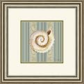 Seashell Framed Art