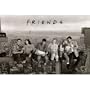 (24x36) Friends (Lunch on Skyscraper) TV Poster Print