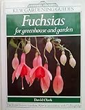 Fuchsias