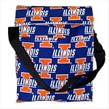 University of Illinois Fighting Illini Logo Insulated Lunch Cooler Bag NO Lead Lead-Free safe Lunchbox