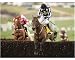 Photographic Print of Horse Racing - Cheltenham Festival 2009 - Day Three - Cheltenham Racecourse fr