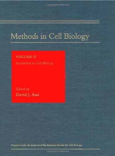 Antibodies in Cell Biology, Volume 37 (Methods in Cell Biology) On Sale