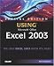 Special Edition Using Microsoft Office Excel 2003 (Special Edition Using)